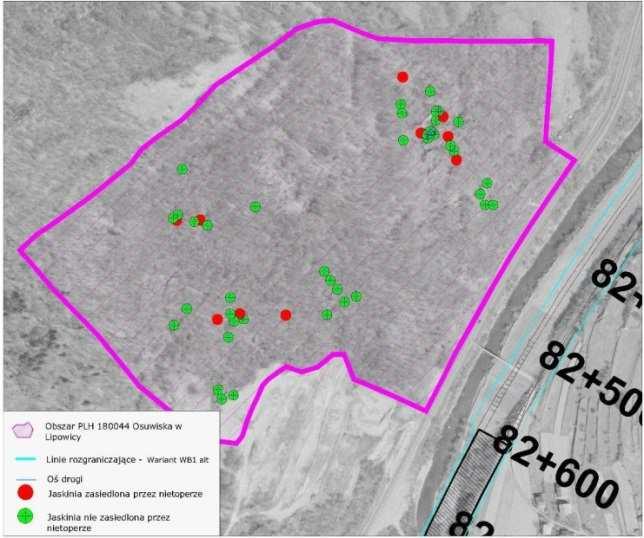 Rysunek 8.9-22 Lokalizacja wariantu WB1 alt na tle obszaru Natura 2000 PLH 180044 Osuwiska w Lipowicy Stan zachowania siedliska w Polsce (wg. GIOŚ) FV tj. właściwy Dla 59% jaskiń jest właściwy.