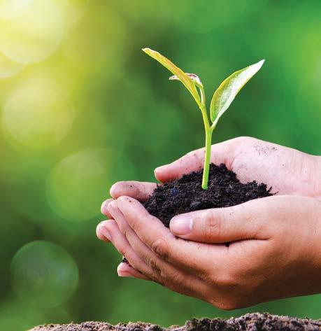 ZERO POZOSTAŁOŚCI Natura w walce o zdrowe rośliny i żywność dla wzrostu bakterii zawartych w preparacie: 4,0-9,0 minimalna