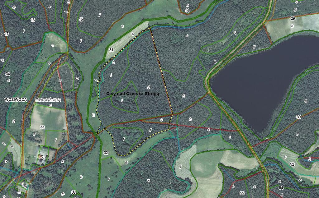 Mapa nr 2 Położenie rezerwatu Cisy nad Czerską Strugą. 3.