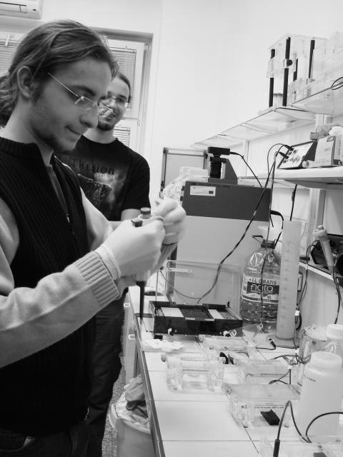 Badania laboratoryjne Stworzenie układów szczepów