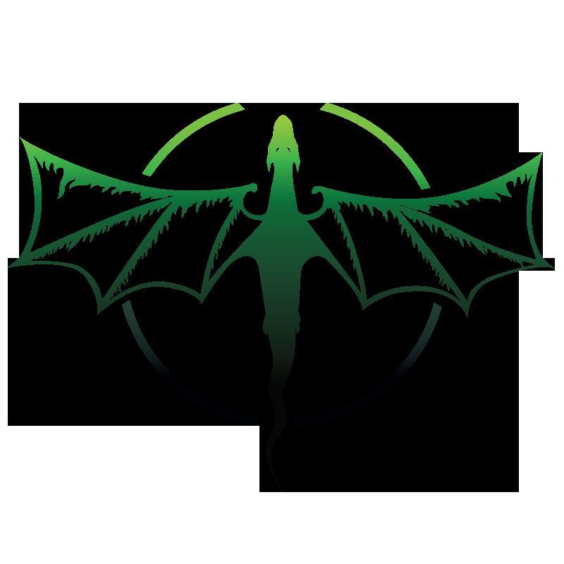 O mnie Wicekapitan @ Dragon Sector CTF team