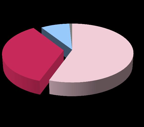 Adekwatność kapitałowa Ewolucja współczynników wypłacalności 12,7% 13,0% 11,2% 11,4% 14,5% 14,9% 14,8% 14,9% 12,9% 13,4% 13,3% 13,4% 30/06/12 30/09/12 31/12/12 31/03/13 30/06/13 30/09/13 Skonsolid.