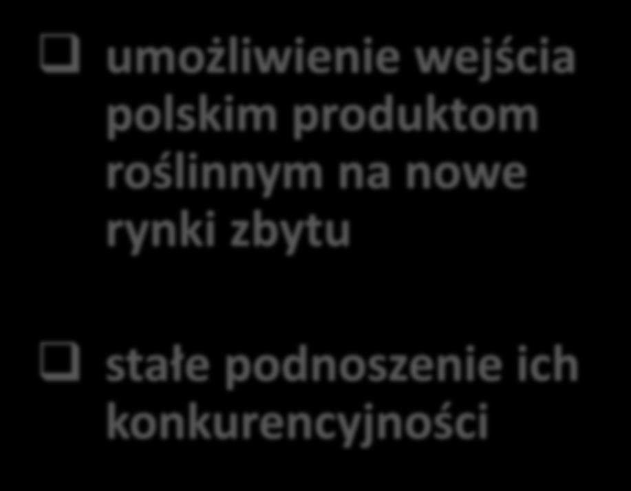 konkurencyjności skuteczne reagowanie na wymagania