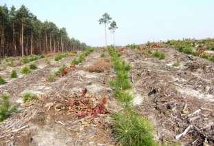 ZALESIENIA PROW 2004-2006, 2007-2013, 2014-2020 Złożono 3229 wniosków o wypłatę