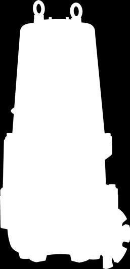 Rotor Łożysko dolne - Lower bearing Podpora silnika - Motor holder Żeliwo GG - Cast iron GG Uszczelnienie mechaniczne - Mechanical seal Węglik krzemu/viton - Silicon/Carbide (SIC/SIC/Viton) Płyta