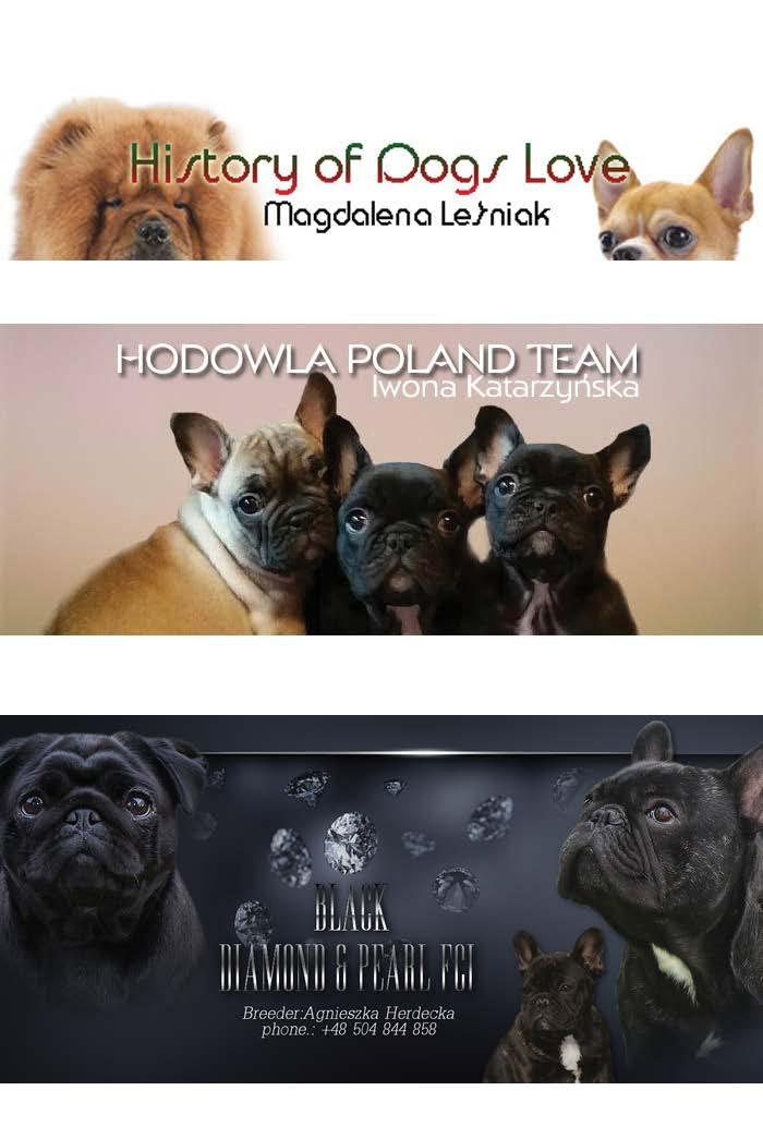 o Patronat medialny wystawy: PODHALE 24 Tygodnik Podhalański Nowy Targ, 13 lipca 2019 Stadion