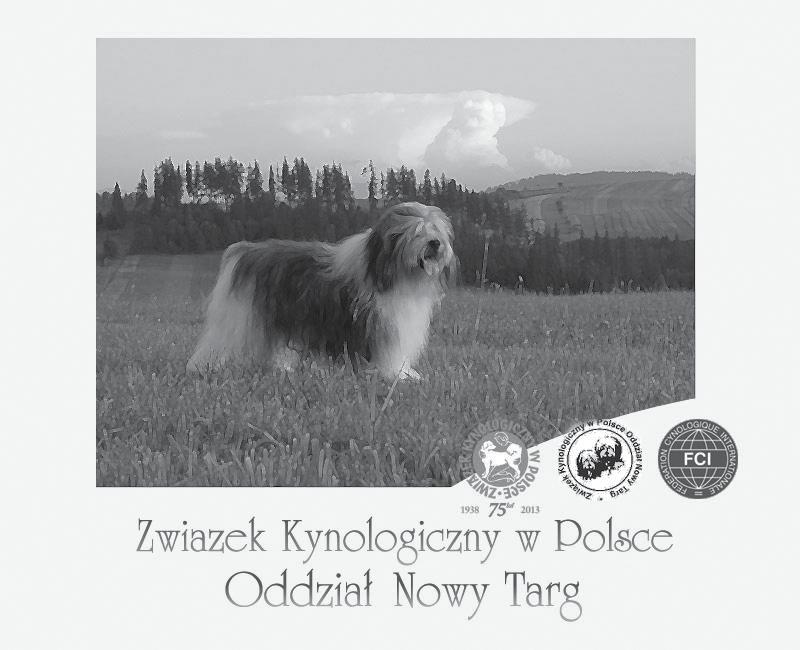 ZKwP O/N. Targ Sobieskiego 19, 34-400 Nowy Targ (tel. 601 436 231) Wszystkich miłośników psów zapraszamy do odwiedzenia siedziby naszego Oddziału.