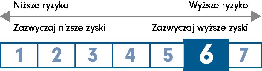 Japan Smaller Companies Fund AACCEuro Wyłącznie dla specjalistów ds.