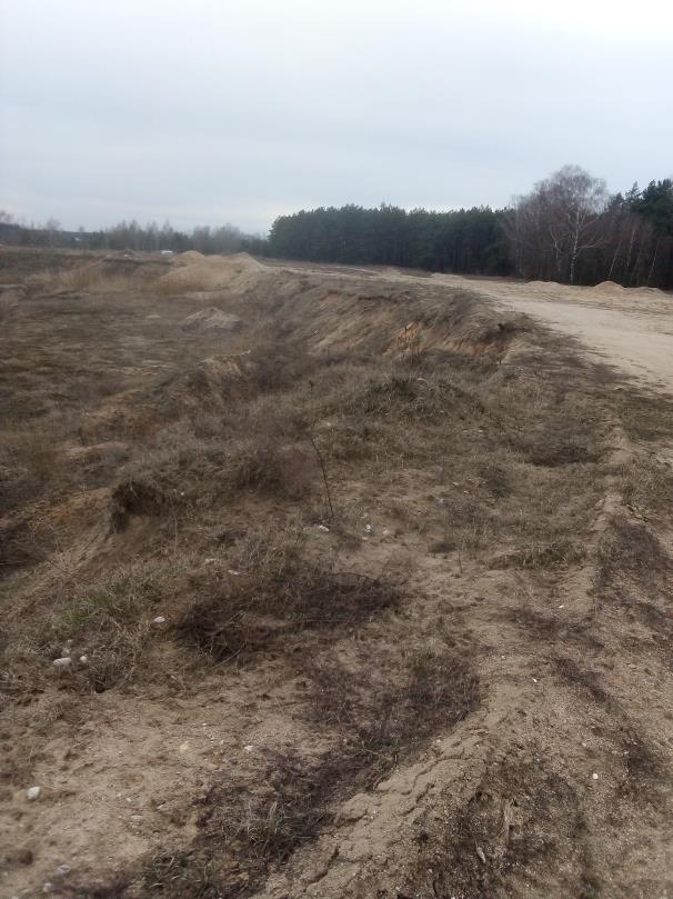 48/128 przyrodniczych objętych ochroną lub zagrożonych. Występującą roślinność cechuje niska różnorodność gatunkowa i siedliskowa.