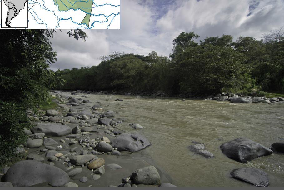 FP7 Goldfish detection of watercourse contamination in developing countries using sensor