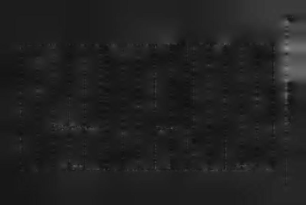 30 S. E.