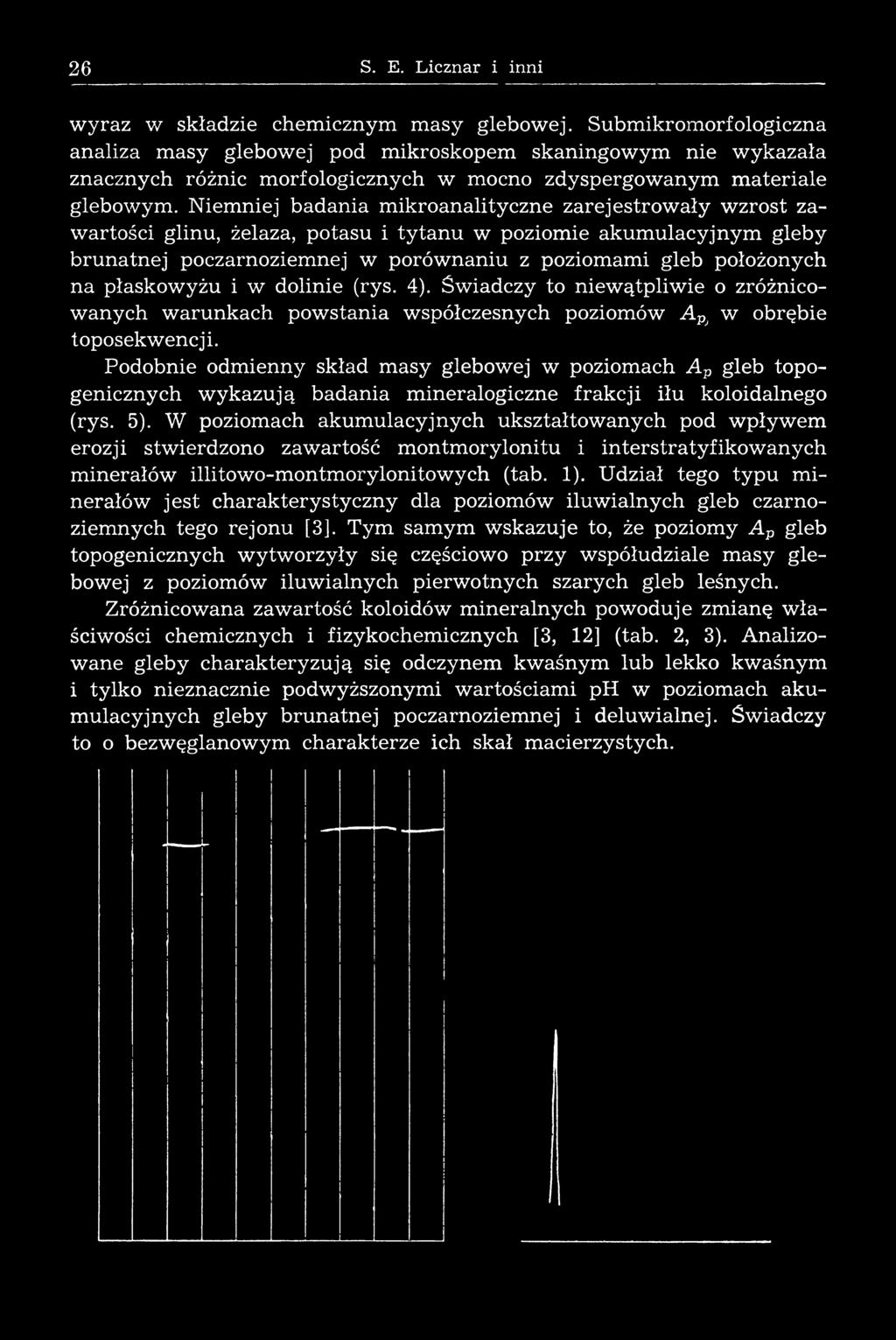 N iem niej badania m ikroanalityczne zarejestrow ały w zrost zawartości glinu, żelaza, potasu i tytanu w poziom ie akum ulacyjnym gleb y brunatnej poczarnoziem nej w porównaniu z poziom am i gleb