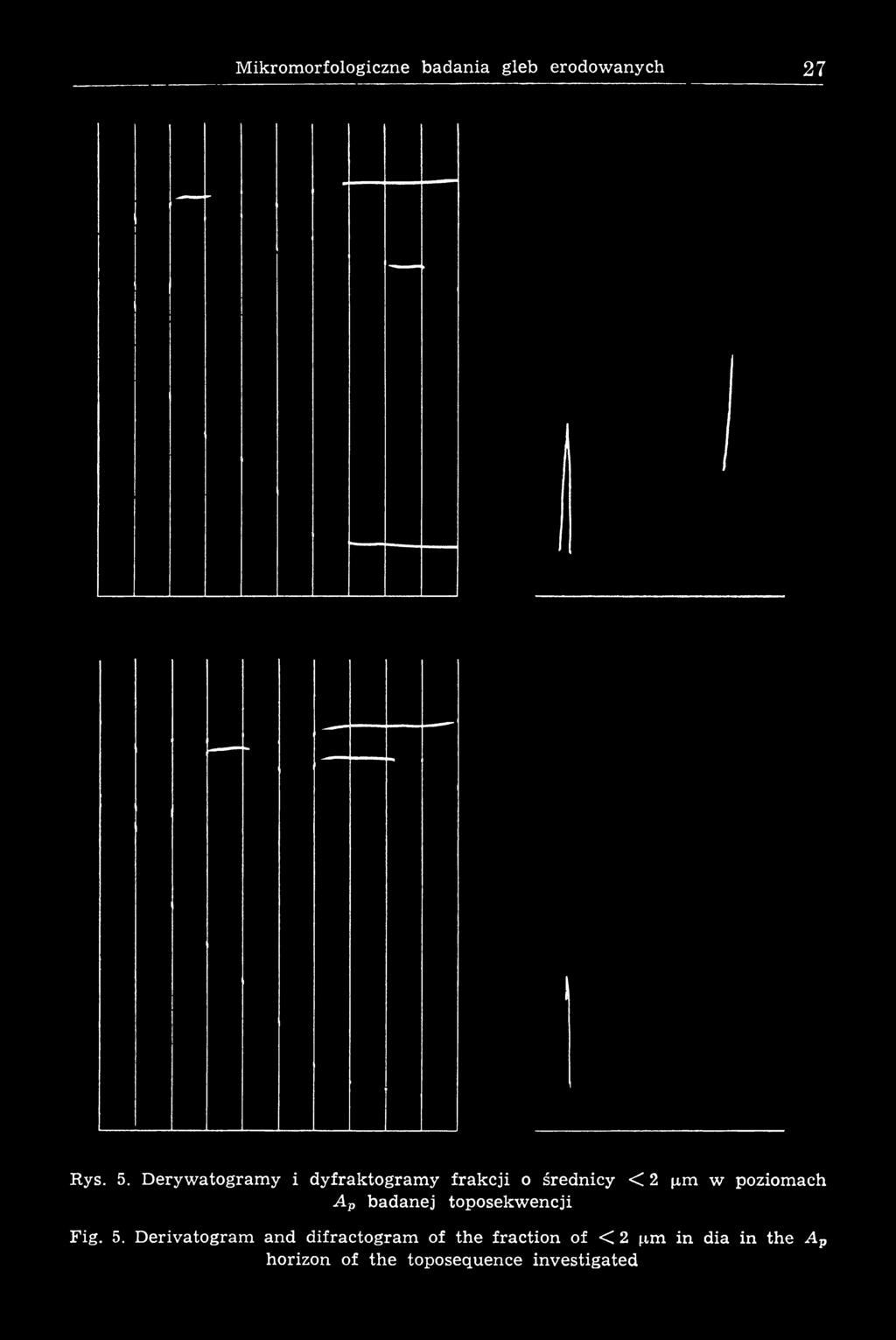 poziomach A p badanej toposekwencji Fig. 5.