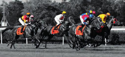 Dreamline 59, Dreambel 58, Torrent 57, Muminek 59, Phoenix 56 (dyst. 3-8-a, zakr. 5-a, 400m 4-a, 250m 5-a, 200m 6-a, 50m 7-a, cel. 9-a B.