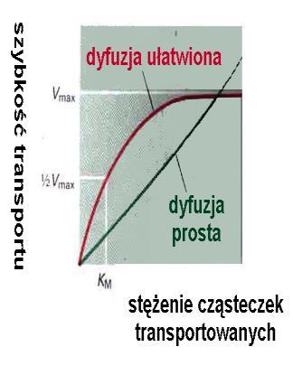 stała Michaelisa (powinowactwo cząsteczki przenoszonej do