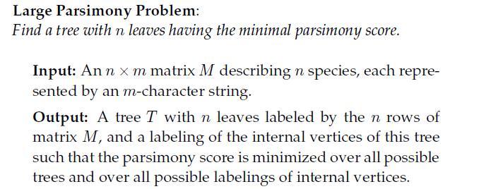 Problem wielkiej parsymonii Problem NP-zupełny Przykłady drzew o 4 liściach Ilość drzew ukorzenionych o n liściach : T(n) dla n = 2, 3, 4, 5, 6, 7, 8, 9, 10,.