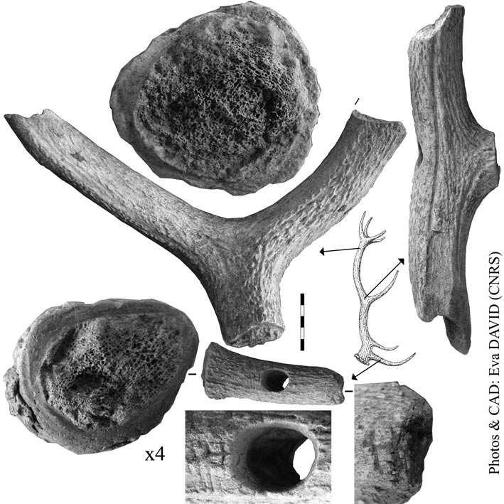 34 jacek kabaciński et al. fig. 4. Bodzia, site 1. analysed antler inventory. Photo and composition by É. David ryc. 4. Bodzia, stan. 1. Inwentarz z poroża będący przedmiotem analiz. Fot.