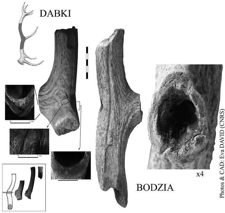 the chronology of t-shaped axes in the polish lowland 37 fig. 7. technological procedures registered at axes from Bodzia, site 1 and Dąbki, site 9. Photo and composition by É. David ryc. 7. zabiegi technologiczne rejestrowane na toporach z Bodzi, stan.