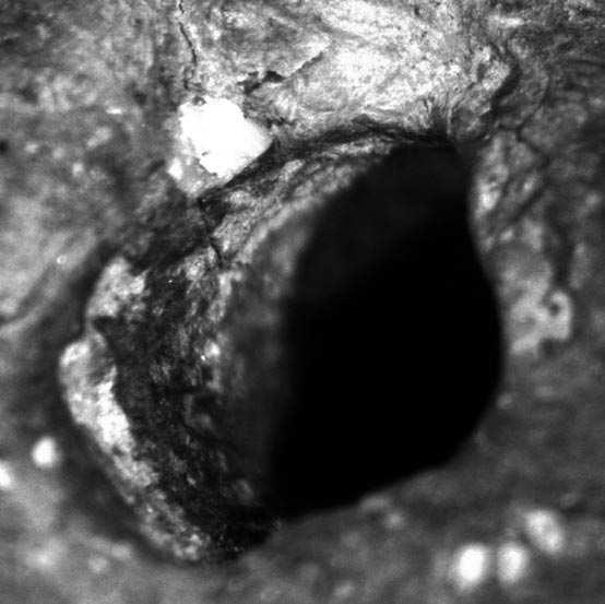 the chronology of t-shaped axes in the polish lowland 41 fig. 10. Bodzia, site 1. traces of friction made by string magniication 10x. Photo by J. Koszałka ryc. 10. Bodzia, stan. 1. Ślady tarcia pozostawione przez sznur powiększenie 10x.