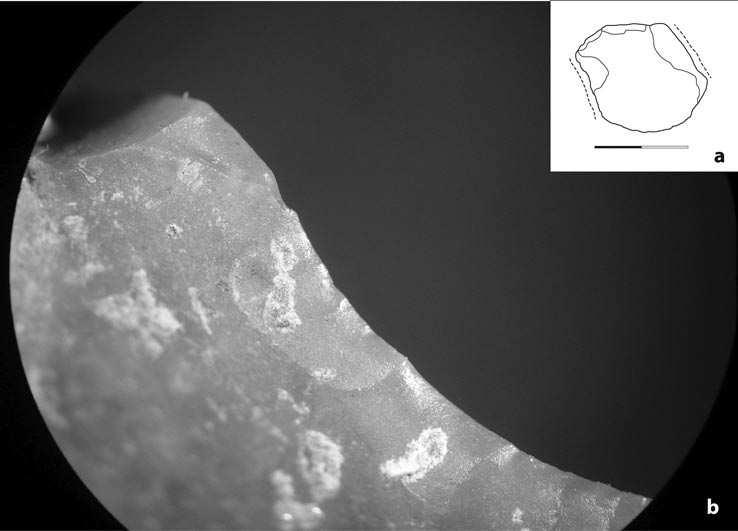 42 jacek kabaciński et al. fig. 11. Bodzia, site 1. Results of micro-wear analysis: a rejuvenation lake with marked use wear; b microscopic photo of use wear retouch. Magniication 40x.