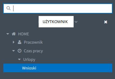 Kierownik jednostki organizacyjnej bądź osoba uprawniona wchodząc w zadanie zatwierdzenia wniosku urlopowego ma do wyboru trzy opcje: Zatwierdzić wniosek; Skierować do poprawy; Odrzucić wniosek.