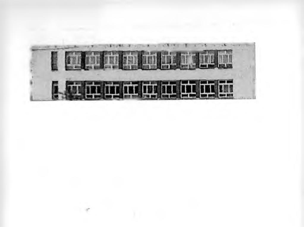 144 Archiwum Fotogrametrii, Kartografii i Teledetekcji, Vol. 9, Olsztyn 1999 Rys. 3. Fragment obrazu z obiektem po rektyfikacji.