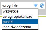 oraz liczbę zleconych i wykonanych świadczeń w ramach tej pozycji. Za pomocą kontrolki innych świadczeń.