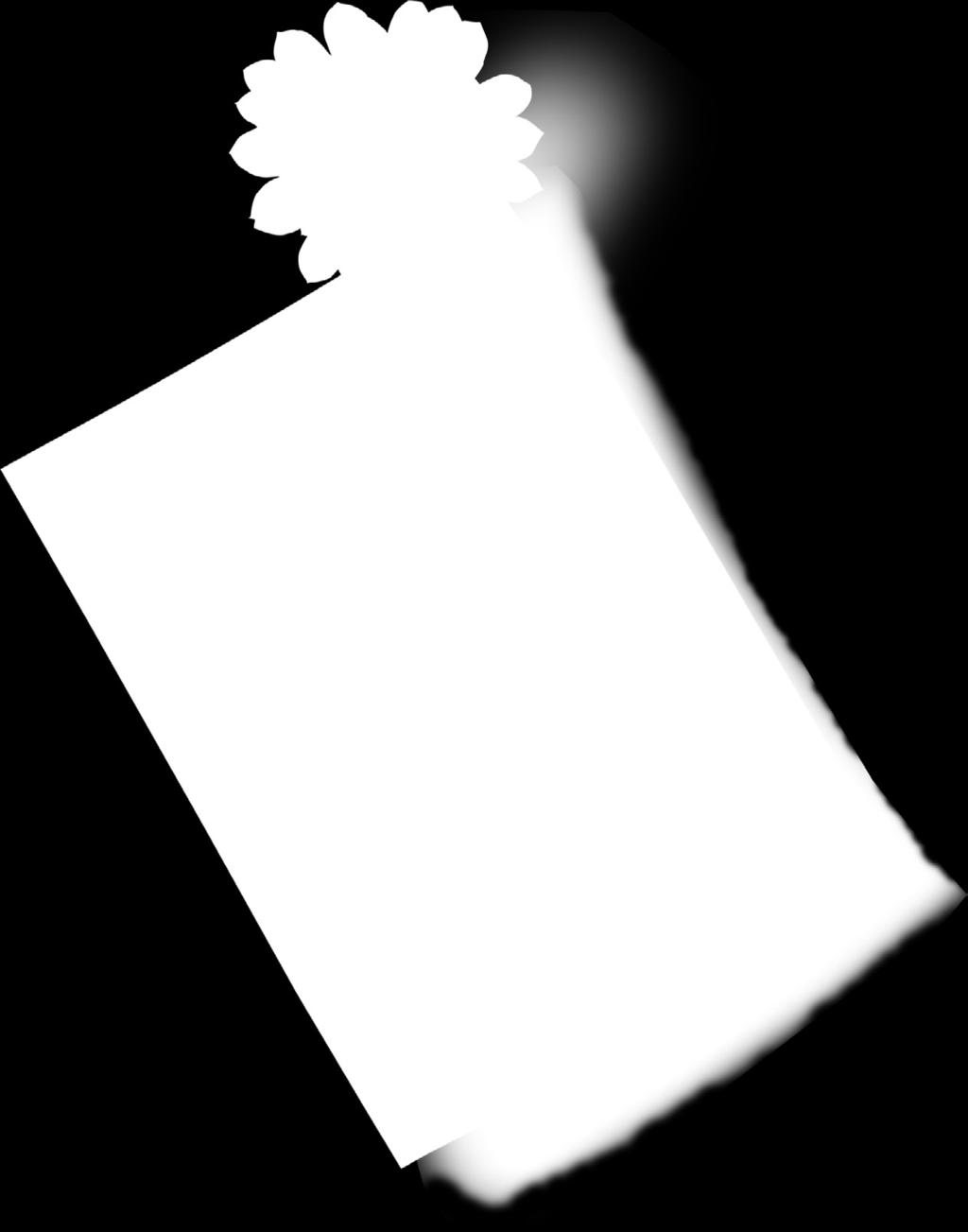 210 x 297 [mm] Druk:
