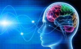 TERAPIA EEG BIOFEEDBACK ZAPRASZAMY: uczniów szkół podstawowych, gimnazjalnych i ponadgimnazjalnych objętych opieką naszej Poradni, które chcą poprawić zdolność zapamiętywania, uczenia czy