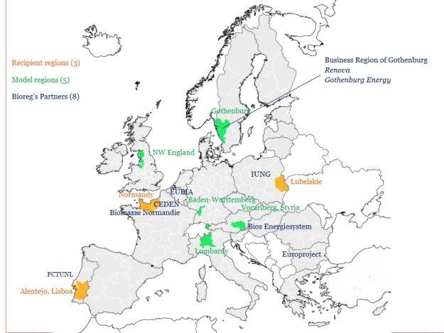 drzewnych na poziomie europejskim; Dostęp do inwestorów; Promowanie rozwoju projektów sektora