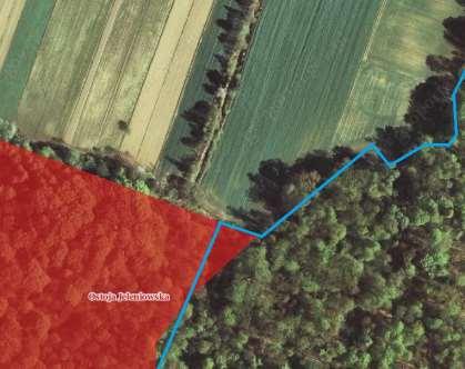 małych dworów, zwykle wraz z parkami. Są to dworskie układy przestrzenne w Czajęcicach, Grzegorzowicach, Jeleniowie, Wronowie i Mirogonowicach.