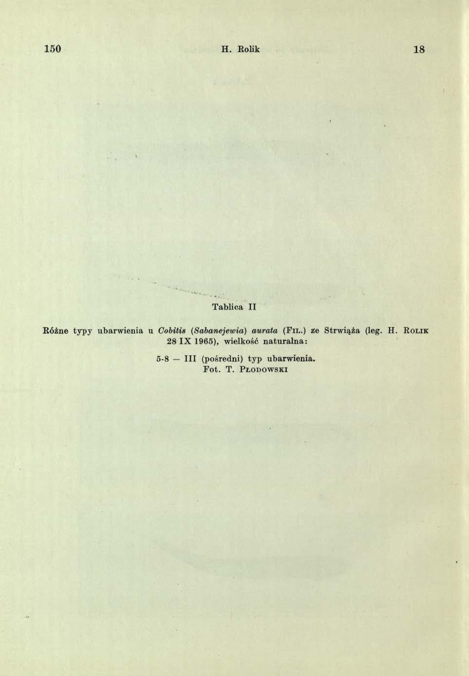 50 H. Rolik 8 Tablica II R óżne ty p y ubarw ien ia u Cobitis (Sabanejewia) aurata ( F il.