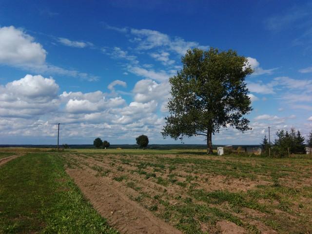 internetu) wytrzymuje trochę ponad jeden dzień.