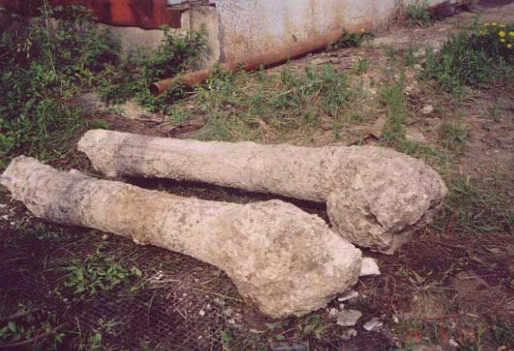 źródło: