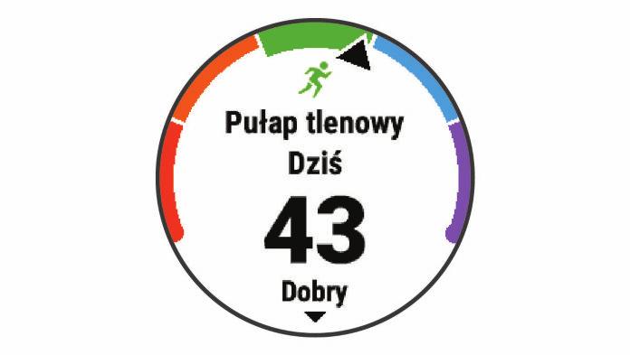 Na urządzeniu szacowany pułap tlenowy jest wyświetlany w postaci liczby, opisu i pozycji na kolorowym wskaźniku.