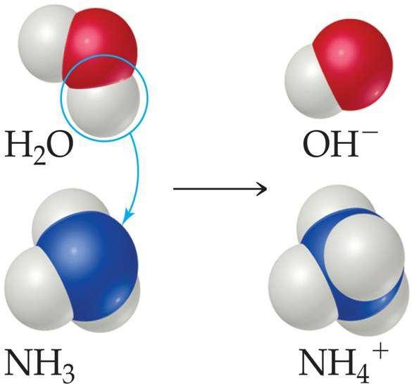 wodorotlenku amonu NH 4 H!) = 1,47 D K b = 1,75.