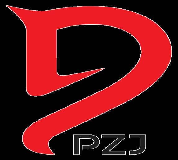 POLSKI ZWIĄZEK JEŹDZIECKI PRZEPISY
