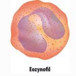klinicznych 15 Zjawisko apoptozy w