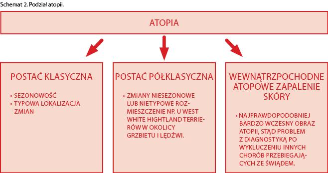 Przypadek 3 ziarniniak z wylizywania zapoczątkowany nadwrażliwością związaną z atopowym
