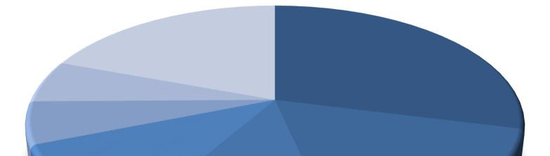 RAPORT ROCZNY ZA ROK 2017 3. AKCJONARIAT ZNACZNE PAKIETY AKCJI STRUKTURA AKCJONARIATU LP Alternative Fund LP 5,91% Pozostali 19,31% Coöperatieve Laxey Worldwide W.