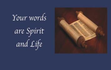 FOURTEENTH SUNDAY IN ORDINARY TIME Today's readings and psalm focus on God's laws and commands.