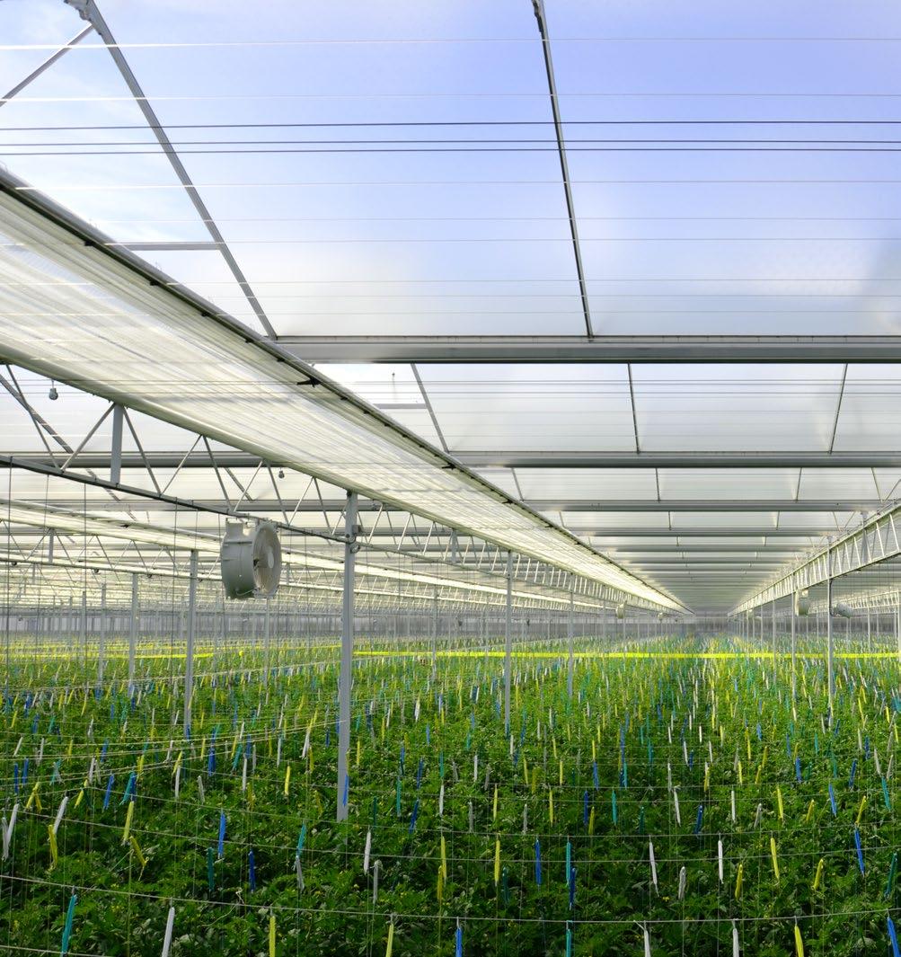 CERES TECHNIKA SZKLARNIOWA CERES MASZYNY Od lat współpracujemy z renomowanymi producentami materiałów i akcesoriów używanych do poprawienia warunków w obiektach szklarniowych lub tunelach oraz innych