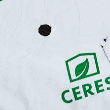 : planowany czas uprawy, wybór technologii, jakość wody oraz wydajność systemu nawadniającego.