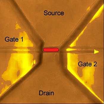 The gap between the transistor's source and drain is one micron. An AFM picture of a single-electron transistor (SET) made in the same way as the IPG transistor.