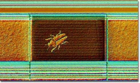 As progress would have it, we must now deal with silicon insects as evidenced by the photomicrograph of a roach that we captured scurrying across the surface of a Hewlett- Packard CPU support chip.