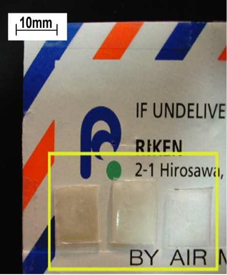 Narita Japan Airport MDMA Aspirin