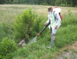 Realizacja czynności dezynfekcji pomieszczeń i budynków inwentarskich przez PLW, koordynacja działań ze strony PWLW W