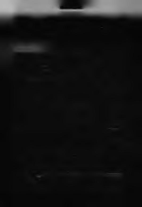 SIWZ OPS 2.