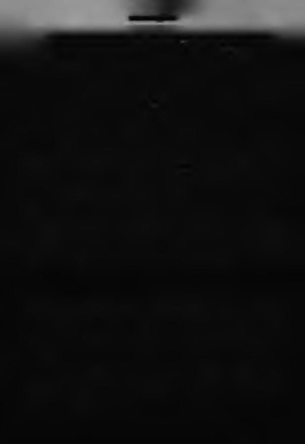 SIWZ OPS 2.