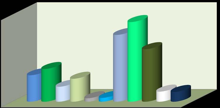 Rys. 12 Struktura orzeczeń ponownych */ z ustalonym stopniem niezdolności do pracy wydanych bezterminowo według wybranych grup chorobowych 19,2% 22,9% 15,1% 7,6% 9,4% 4,3% 6,6% 1,0% 1,1% 2,9% 2,8%